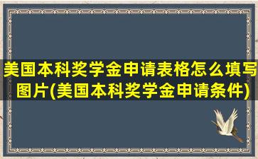 美国本科奖学金申请表格怎么填写图片(美国本科奖学金申请条件)