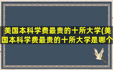 美国本科学费最贵的十所大学(美国本科学费最贵的十所大学是哪个)