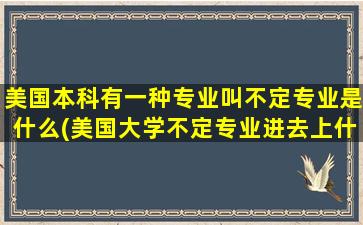 美国本科有一种专业叫不定专业是什么(美国大学不定专业进去上什么专业)