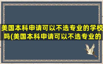 美国本科申请可以不选专业的学校吗(美国本科申请可以不选专业的专业吗)