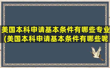 美国本科申请基本条件有哪些专业(美国本科申请基本条件有哪些呢)