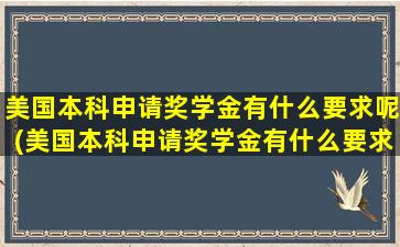 美国本科申请奖学金有什么要求呢(美国本科申请奖学金有什么要求呢英语)