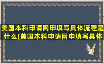 美国本科申请网申填写具体流程是什么(美国本科申请网申填写具体流程图片)