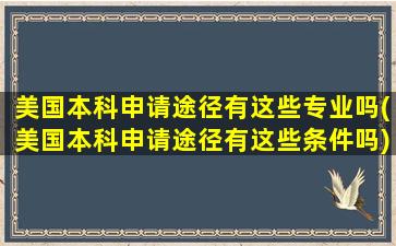 美国本科申请途径有这些专业吗(美国本科申请途径有这些条件吗)