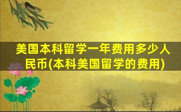 美国本科留学一年费用多少人民币(本科美国留学的费用)