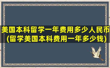 美国本科留学一年费用多少人民币(留学美国本科费用一年多少钱)