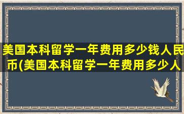 美国本科留学一年费用多少钱人民币(美国本科留学一年费用多少人民币)