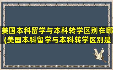 美国本科留学与本科转学区别在哪(美国本科留学与本科转学区别是什么)