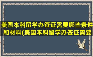 美国本科留学办签证需要哪些条件和材料(美国本科留学办签证需要哪些条件和手续)