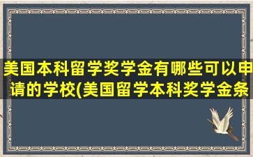 美国本科留学奖学金有哪些可以申请的学校(美国留学本科奖学金条件)