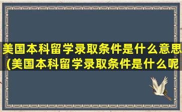 美国本科留学录取条件是什么意思(美国本科留学录取条件是什么呢)