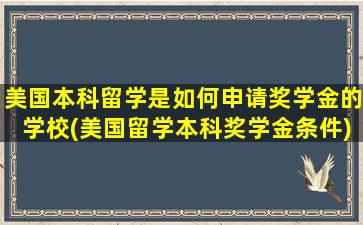 美国本科留学是如何申请奖学金的学校(美国留学本科奖学金条件)