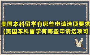 美国本科留学有哪些申请选项要求(美国本科留学有哪些申请选项可以选)