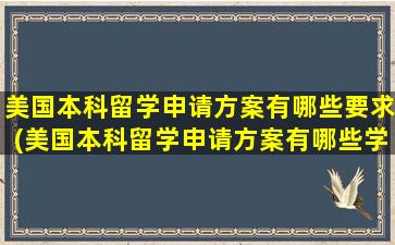 美国本科留学申请方案有哪些要求(美国本科留学申请方案有哪些学校)