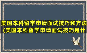 美国本科留学申请面试技巧和方法(美国本科留学申请面试技巧是什么)