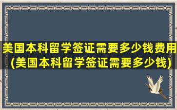 美国本科留学签证需要多少钱费用(美国本科留学签证需要多少钱)