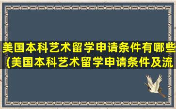 美国本科艺术留学申请条件有哪些(美国本科艺术留学申请条件及流程)