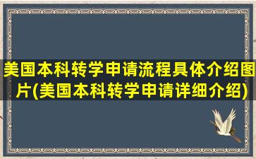 美国本科转学申请流程具体介绍图片(美国本科转学申请详细介绍)