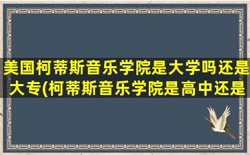 美国柯蒂斯音乐学院是大学吗还是大专(柯蒂斯音乐学院是高中还是大学)