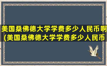 美国桑佛德大学学费多少人民币啊(美国桑佛德大学学费多少人民币一个月)