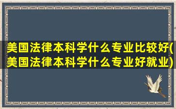 美国法律本科学什么专业比较好(美国法律本科学什么专业好就业)