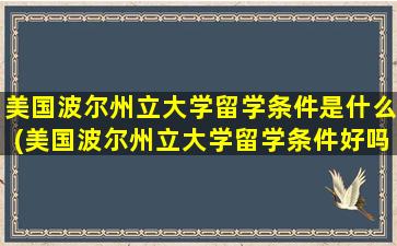 美国波尔州立大学留学条件是什么(美国波尔州立大学留学条件好吗)