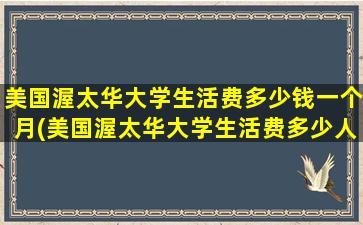 美国渥太华大学生活费多少钱一个月(美国渥太华大学生活费多少人民币)