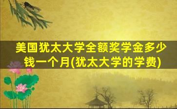 美国犹太大学全额奖学金多少钱一个月(犹太大学的学费)