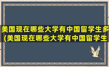 美国现在哪些大学有中国留学生多(美国现在哪些大学有中国留学生毕业)