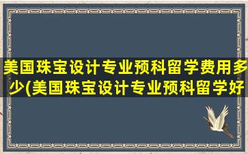 美国珠宝设计专业预科留学费用多少(美国珠宝设计专业预科留学好吗)