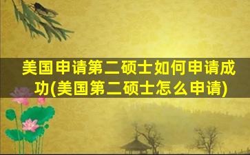 美国申请第二硕士如何申请成功(美国第二硕士怎么申请)