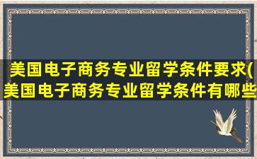 美国电子商务专业留学条件要求(美国电子商务专业留学条件有哪些)