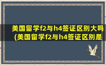 美国留学f2与h4签证区别大吗(美国留学f2与h4签证区别是什么)