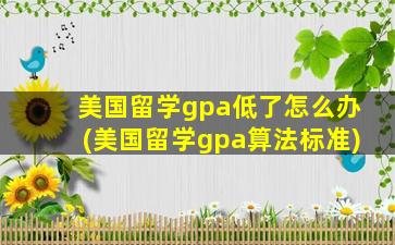 美国留学gpa低了怎么办(美国留学gpa算法标准)