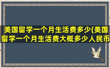 美国留学一个月生活费多少(美国留学一个月生活费大概多少人民币)