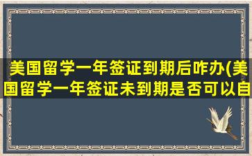 美国留学一年签证到期后咋办(美国留学一年签证未到期是否可以自由出入)