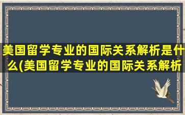 美国留学专业的国际关系解析是什么(美国留学专业的国际关系解析有哪些)