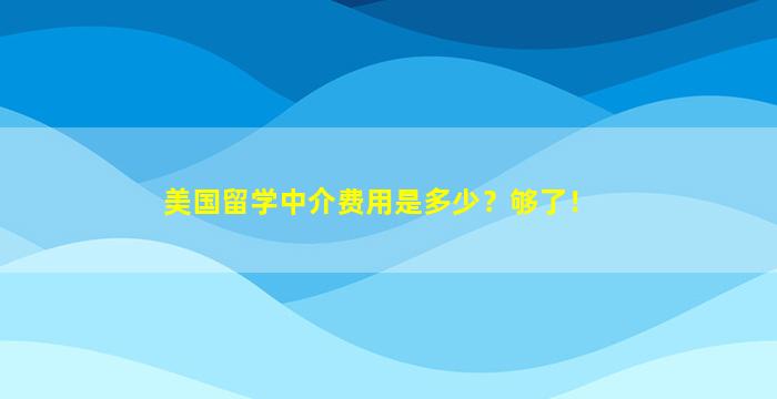 美国留学中介费用是多少？够了！