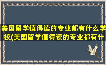 美国留学值得读的专业都有什么学校(美国留学值得读的专业都有什么大学)