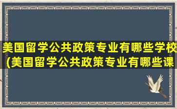 美国留学公共政策专业有哪些学校(美国留学公共政策专业有哪些课程)