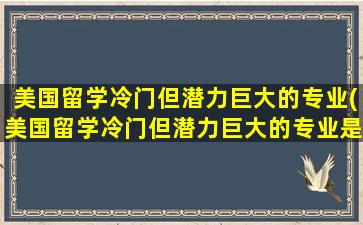 美国留学冷门但潜力巨大的专业(美国留学冷门但潜力巨大的专业是什么)