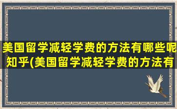 美国留学减轻学费的方法有哪些呢知乎(美国留学减轻学费的方法有哪些呢英文)