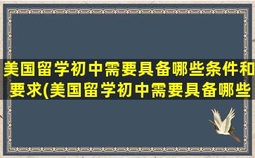 美国留学初中需要具备哪些条件和要求(美国留学初中需要具备哪些条件和条件)