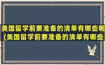 美国留学前要准备的清单有哪些呢(美国留学前要准备的清单有哪些东西)