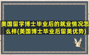 美国留学博士毕业后的就业情况怎么样(美国博士毕业后留美优势)