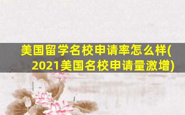 美国留学名校申请率怎么样(2021美国名校申请量激增)