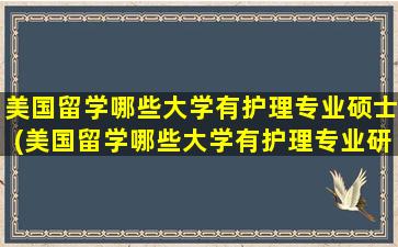 美国留学哪些大学有护理专业硕士(美国留学哪些大学有护理专业研究生)