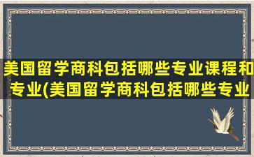 美国留学商科包括哪些专业课程和专业(美国留学商科包括哪些专业课程)