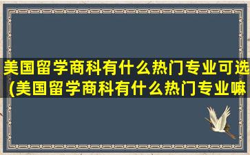 美国留学商科有什么热门专业可选(美国留学商科有什么热门专业嘛)