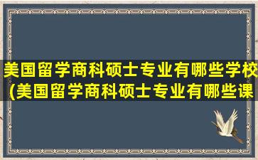 美国留学商科硕士专业有哪些学校(美国留学商科硕士专业有哪些课程)